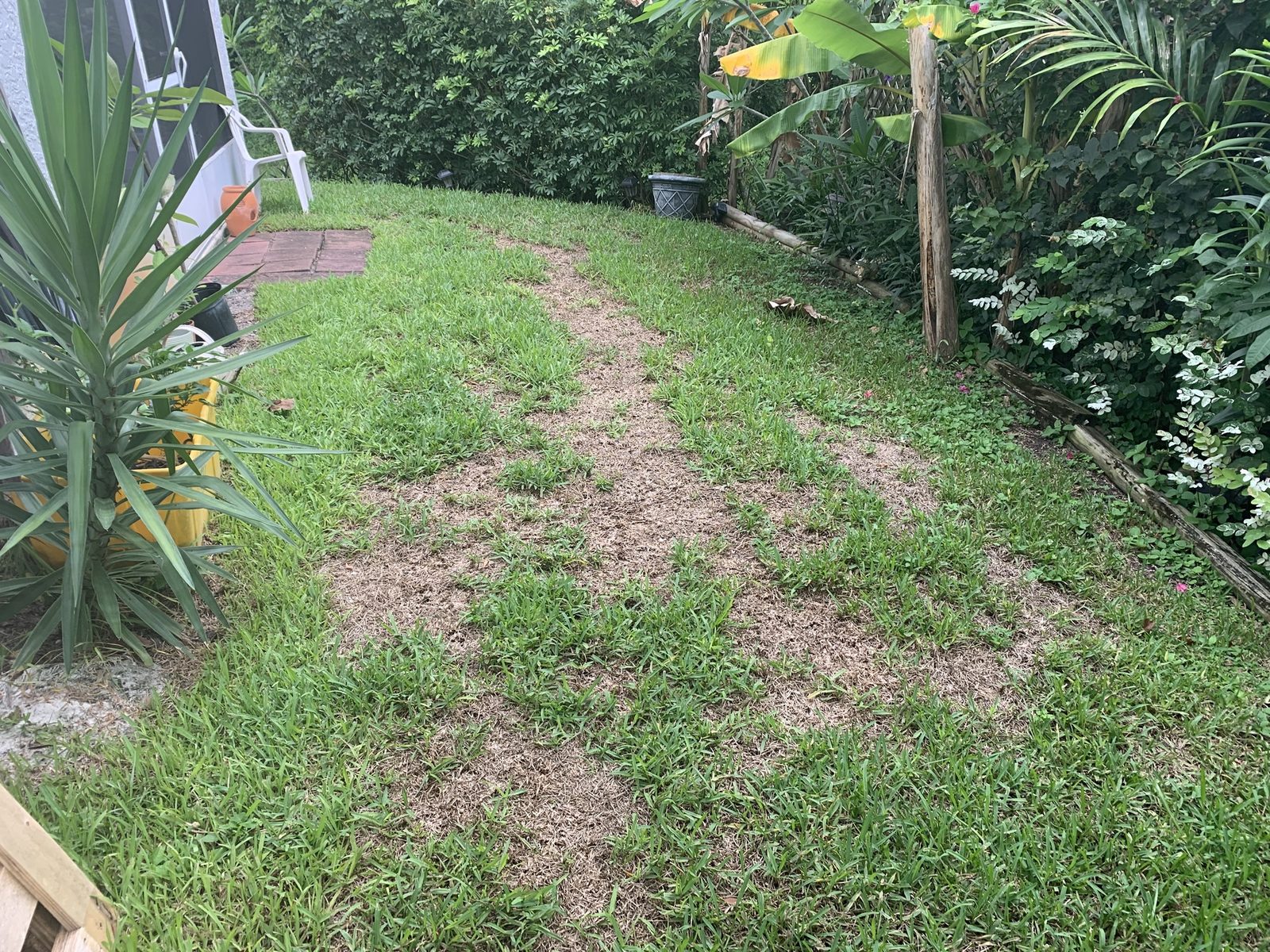 Before: worn grass side-yard prior to paver installation